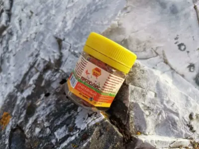 Прополис